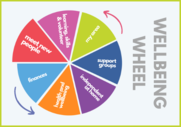Wellbeing Wheel Icon