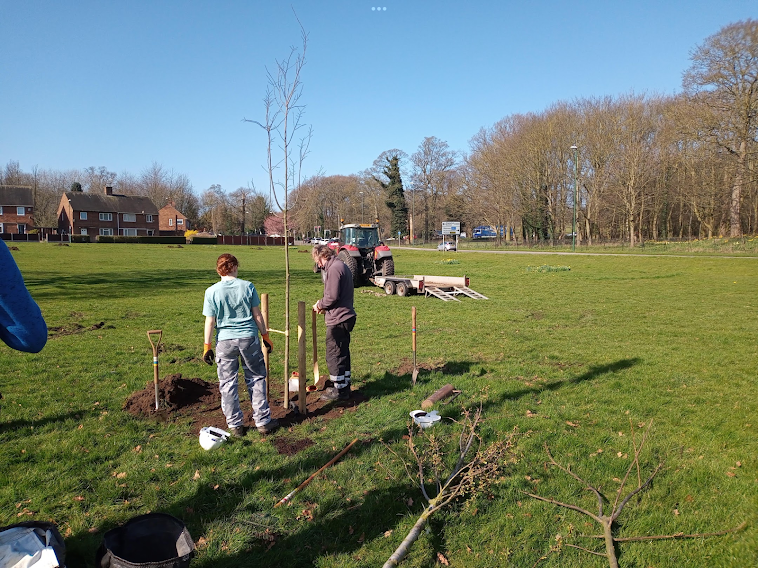 tree planting