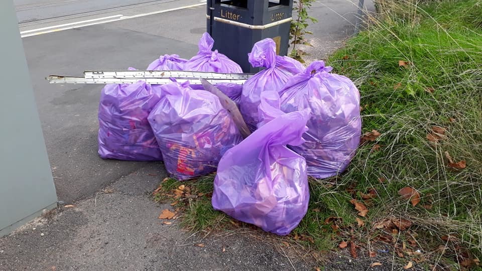 litter picks