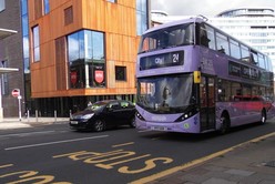 Lilac line bus