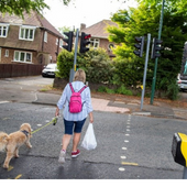 Safer road poster, lady and dog walking across the road