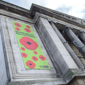 Poppy banner