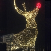 Woodthorpe Reindeer