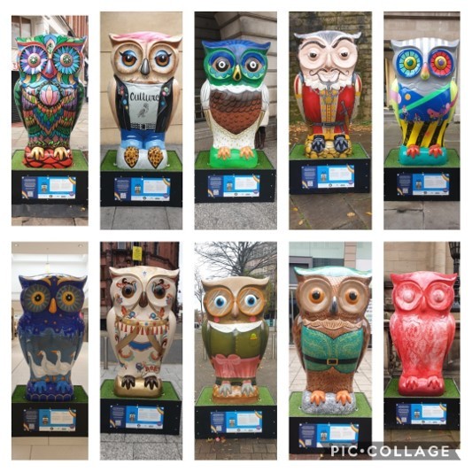 Nottingham Owls