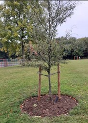 Strelley recreation ground 