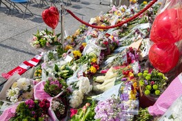 Flowers in front of council house