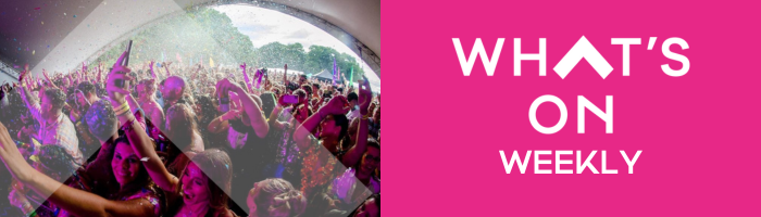 What's On Header - Woodland Disco Festival