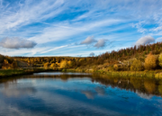 Gedling Country Park