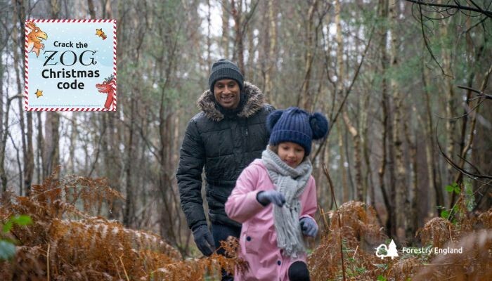 Zog Trail at Sherwood Pines