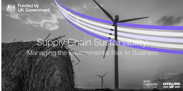 Supply Chain Sustainability