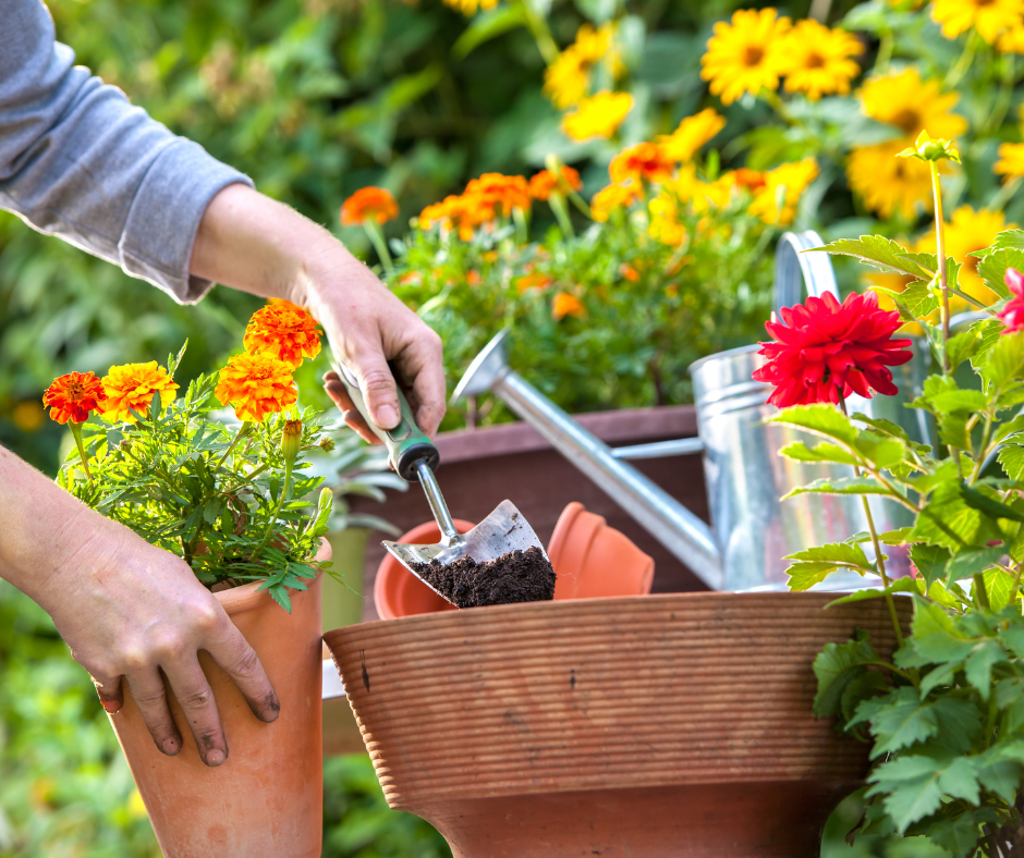 Gardeners