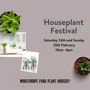 Houseplant festival