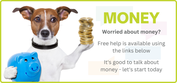 ASKLiON Money Page Banner