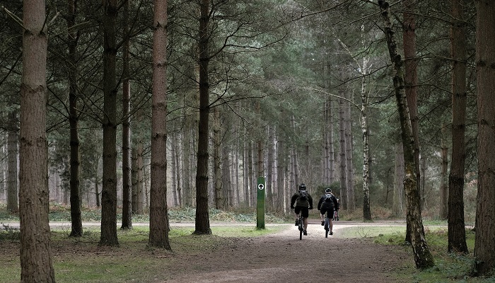 Sherwood Pines 