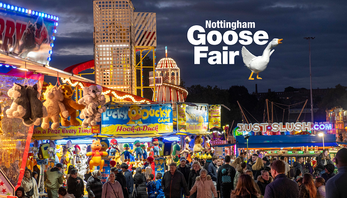 Goose Fair survey