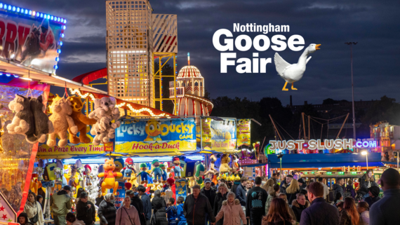 Goose Fair survey