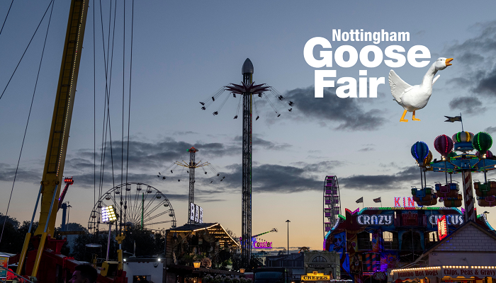 Goose Fair survey