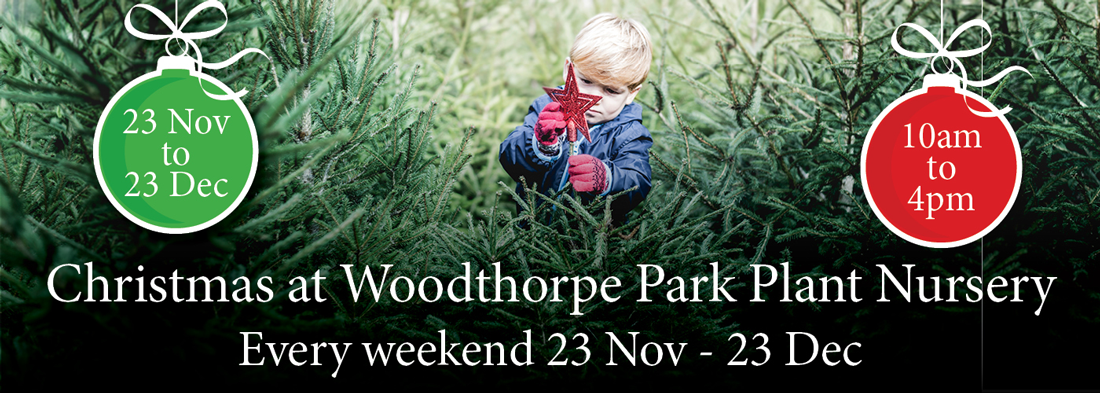 Christmas at Woodthorpe Park Plant Nursery - Every Weekend 23 Nov – 23 Dec - 10am to 4pm