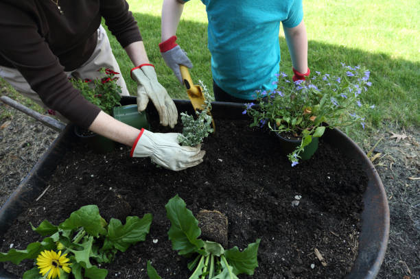 Planting flowers