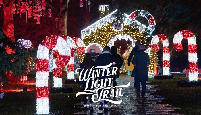 Wollaton Winter Light Trail – last chance for Nottingham City resident tickets
