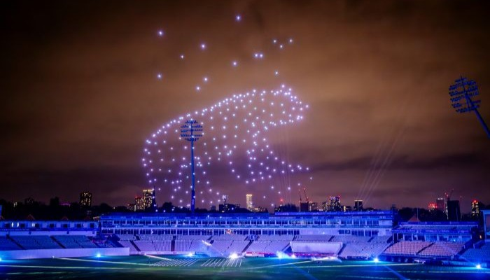 Wild Drone Light Show