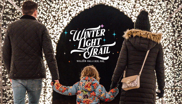 Wollaton Winter Light Trail