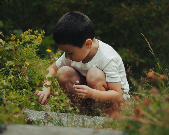 Child planting flowers in a garden