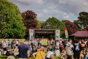 Rum and Reggae Festival