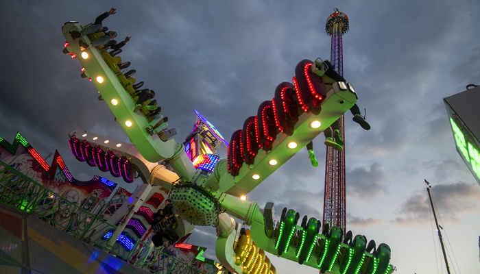 Goose Fair
