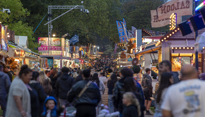 Goose Fair 2
