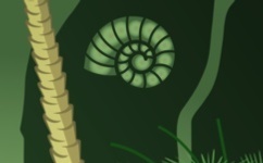 Illustration of a spiral shell