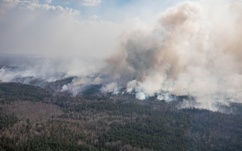 Chernobyl wildfires