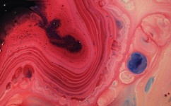 Water pollution slick