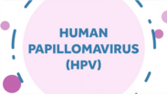 The words Human Papillomavirus Virus surrounded by circles
