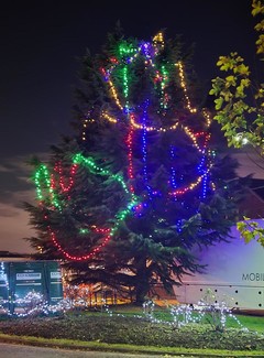 Clearer photo of Trust HQ Christmas tree lights