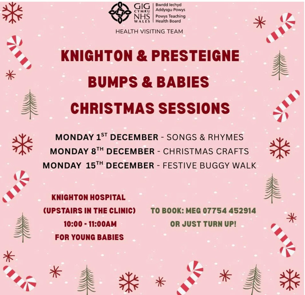 Knighton Baby Groups Christmas activities