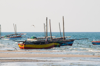 Mozambique Fishing Boats