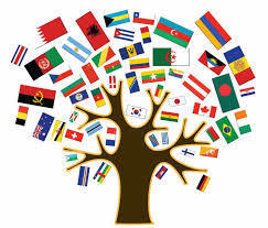 Tree with flags from different countries