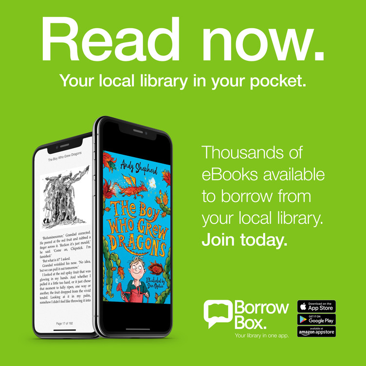 Borrow Box promotion with two large mobile phones showing e-books