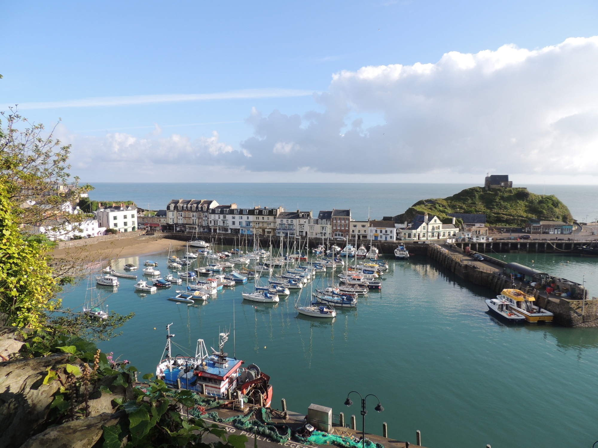 Ilfracombe harbour