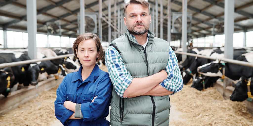 Male and female farmer standing with arms crossed in a shed full of cows