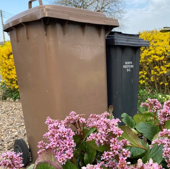 Bin collections 10, 11 and 12 August