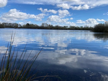 A view across the water reflecting the blue sky at Whisby Nature Park