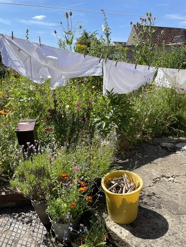 washing on the line in a cottage garden