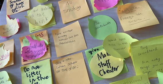 Eco tips from visitors to Heckington Show 2024