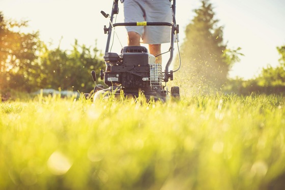 A lawnmower being used to cut grass