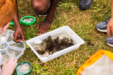 Underwater World - Doddington