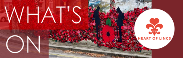 Poppies along the wyvern fence at Monument Gardens in Sleaford