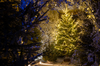 A Fairytale Christmas at Doddington