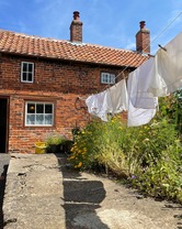 MSC Washday